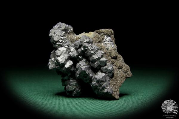 Galenit XX (15071) ein Mineral aus Polen | Mineralien | Weltweit