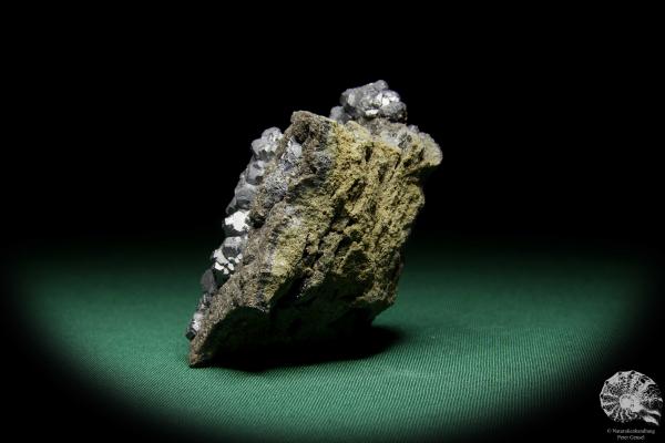 Galena XX (15071) a mineral from Poland | Minerals | Global