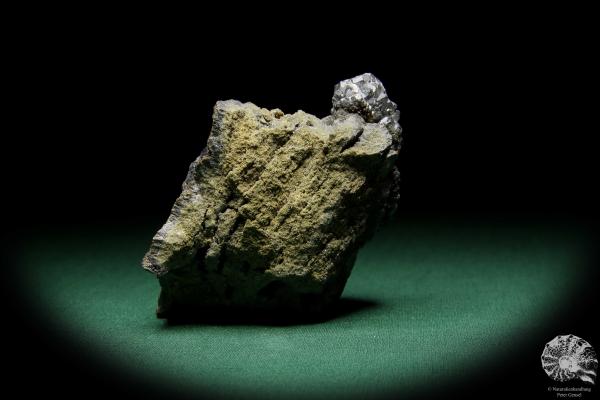 Galenit XX (15071) ein Mineral aus Polen | Mineralien | Weltweit