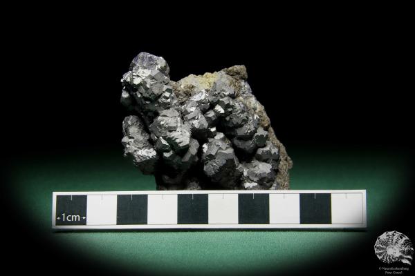 Galena XX (15071) a mineral from Poland | Minerals | Global