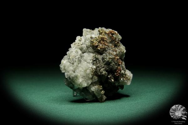 Markasit XX auf Quarz XX (15072) ein Mineral aus Tschechien | Mineralien | Weltweit