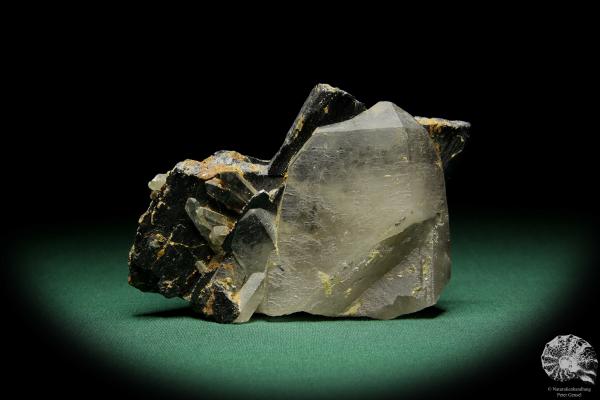 Wolframite XX & Quartz XX (15075) a mineral from Kazakhstan | Minerals | Global