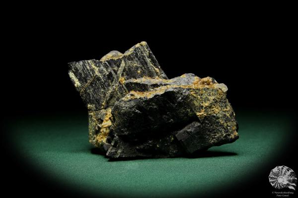 Wolframit XX & Quarz XX (15075) ein Mineral aus Kasachstan | Mineralien | Weltweit