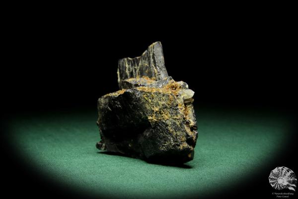 Wolframit XX & Quarz XX (15075) ein Mineral aus Kasachstan | Mineralien | Weltweit