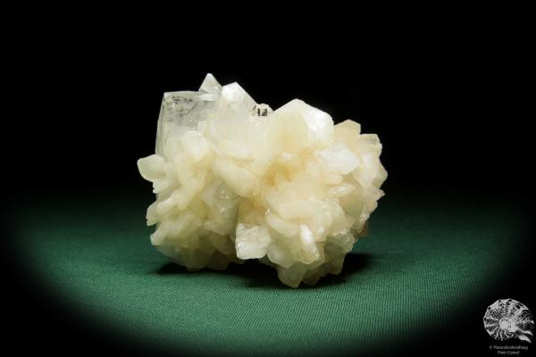 Desmine XX & Apophyllite XX (15077) a mineral from India | Minerals | Global