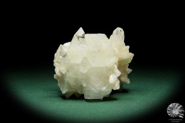 Desmine XX & Apophyllite XX (15077) a mineral from India | Minerals | Global