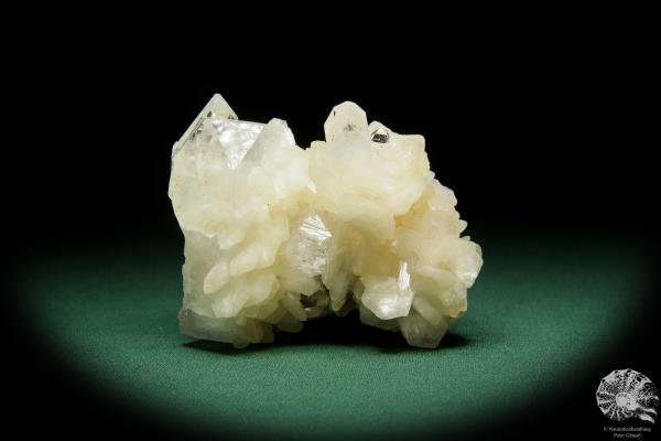 Desmine XX & Apophyllite XX (15077) a mineral from India | Minerals | Global