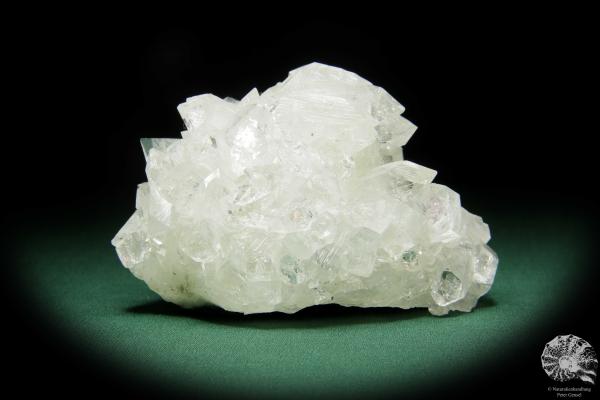 Apophyllite XX (15078) a mineral from India | Minerals | Global