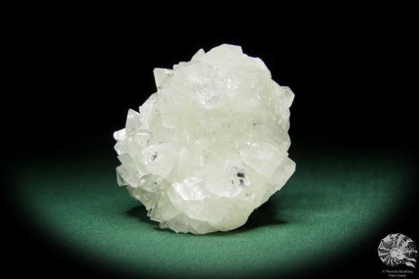 Apophyllite XX (15078) a mineral from India | Minerals | Global