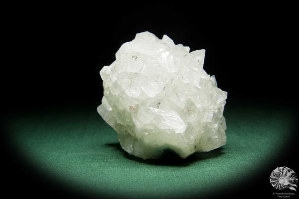 Apophyllit XX (15078) ein Mineral aus Indien | Mineralien | Weltweit