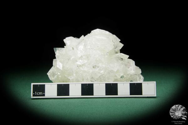 Apophyllite XX (15078) a mineral from India | Minerals | Global