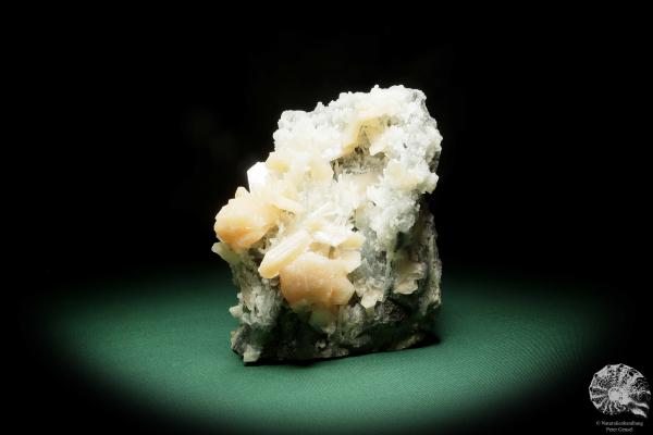 Quarz XX - Stalaktiten mit Stilbit XX (15079) ein Mineral aus Indien | Mineralien | Weltweit