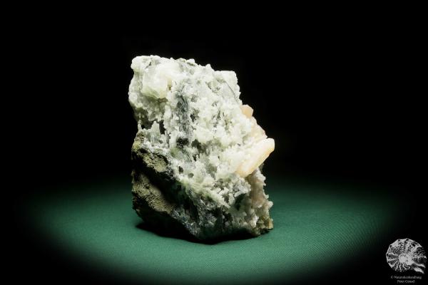 Quarz XX - Stalaktiten mit Stilbit XX (15079) ein Mineral aus Indien | Mineralien | Weltweit