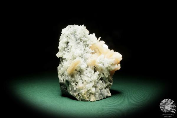 Quarz XX - Stalaktiten mit Stilbit XX (15079) ein Mineral aus Indien | Mineralien | Weltweit