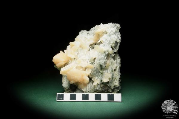 Quarz XX - Stalaktiten mit Stilbit XX (15079) ein Mineral aus Indien | Mineralien | Weltweit