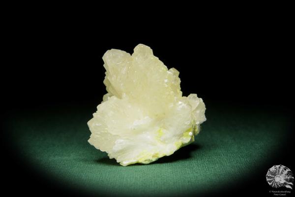 Coelestin XX und Schwefel (15080) ein Mineral aus Polen | Mineralien | Weltweit