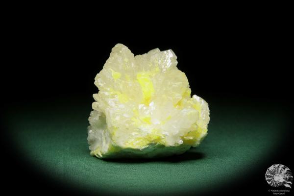 Coelestin XX und Schwefel (15080) ein Mineral aus Polen | Mineralien | Weltweit