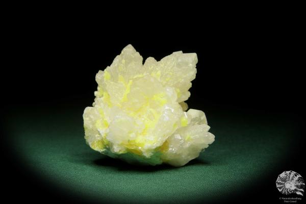 Coelestin XX und Schwefel (15080) ein Mineral aus Polen | Mineralien | Weltweit