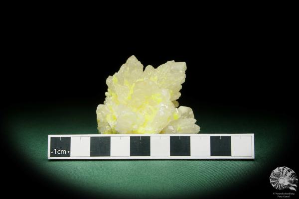 Coelestin XX und Schwefel (15080) ein Mineral aus Polen | Mineralien | Weltweit