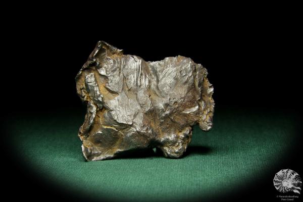 Ni-Fe Meteorite (15085) a mineral from Russia | Minerals | Global