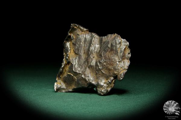 Ni-Fe Meteorit (15085) ein Mineral aus Russland | Mineralien | Weltweit