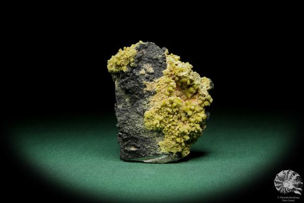 Pyromorphit XX (15087) ein Mineral aus Spanien | Mineralien | Weltweit