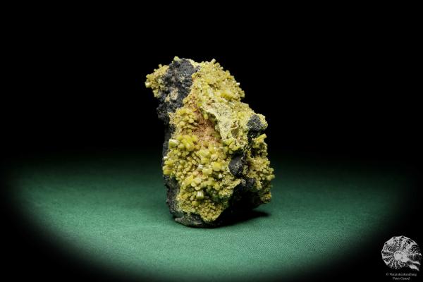 Pyromorphit XX (15087) ein Mineral aus Spanien | Mineralien | Weltweit