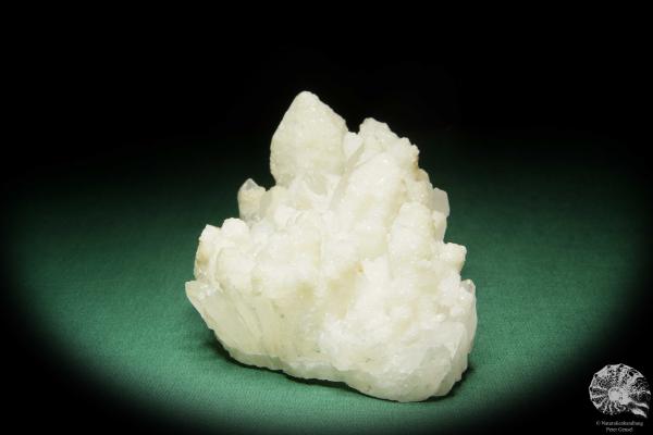 Quartz XX (15091) a mineral from Mexico | Minerals | Global