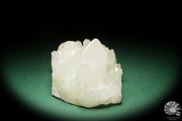 Quartz XX (15091) a mineral from Mexico | Minerals | Global