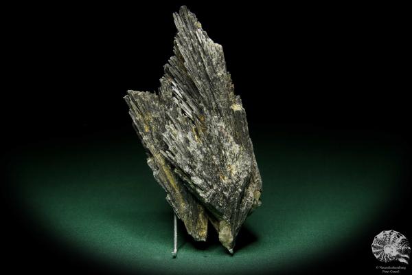 Disthene XX (15093) a mineral from South America | Minerals | Global