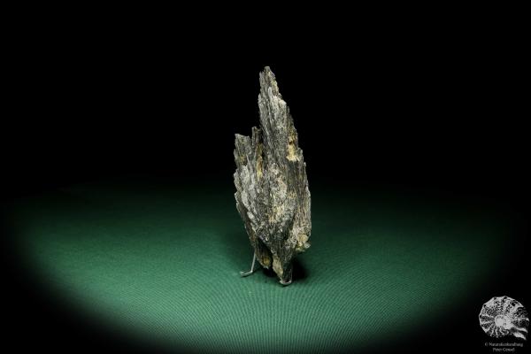 Disthene XX (15093) a mineral from South America | Minerals | Global