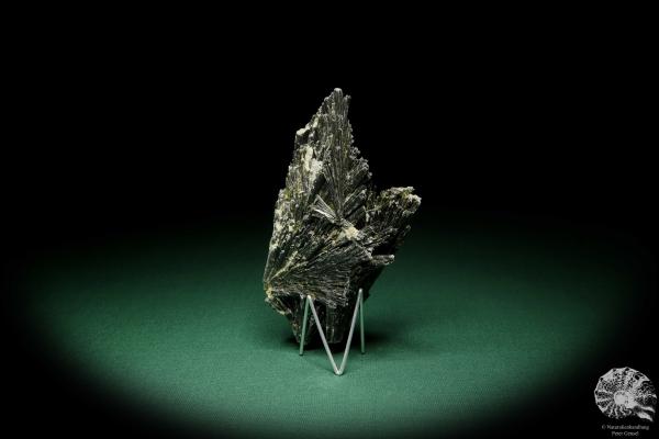 Disthen XX (15093) ein Mineral aus Südamerika | Mineralien | Weltweit