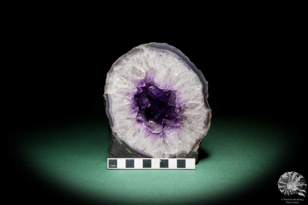 Amethyste XX (15645) a mineral from Brazil | Minerals | Global