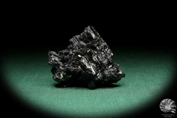 Black Tourmaline XX (15646) a mineral from Namibia | Minerals | Global