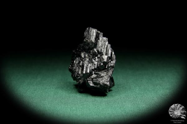 Black Tourmaline XX (15646) a mineral from Namibia | Minerals | Global