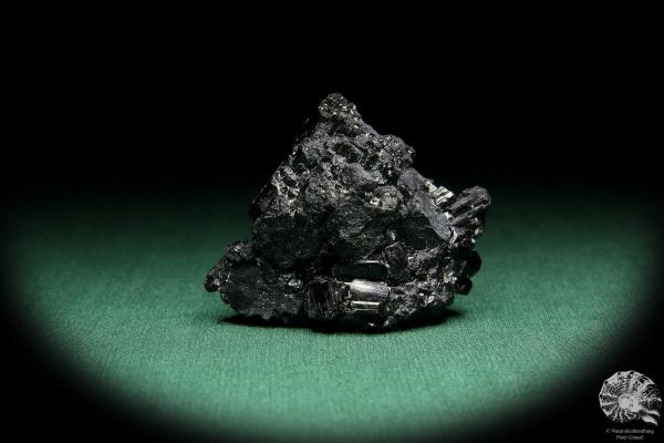 Black Tourmaline XX (15646) a mineral from Namibia | Minerals | Global