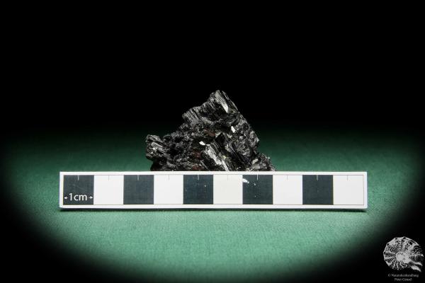 Black Tourmaline XX (15646) a mineral from Namibia | Minerals | Global