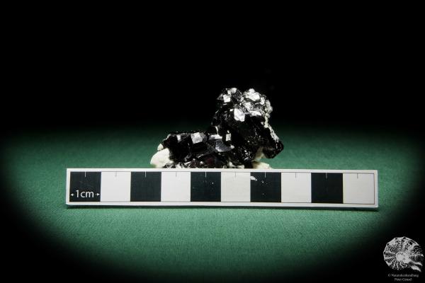 Black Tourmaline XX (15650) a mineral from Namibia | Minerals | Global