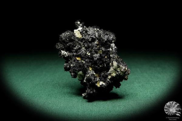 Schörl XX (15652) ein Mineral aus Namibia | Mineralien | Weltweit