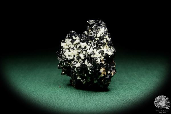 Schörl XX (15658) ein Mineral aus Namibia | Mineralien | Weltweit