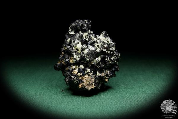 Schörl XX (15658) ein Mineral aus Namibia | Mineralien | Weltweit