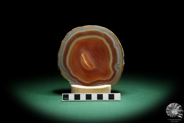 Agate Slice (16370) a mineral from South America | Crafts | From Minerals