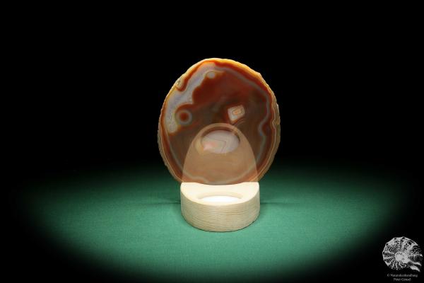 Agate Slice (16374) a mineral from South America | Crafts | From Minerals