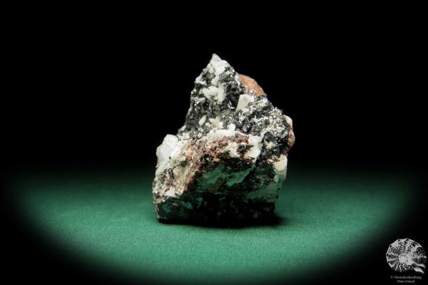 Hausmannit XX (16841) ein Mineral aus Südafrika | Mineralien | Weltweit