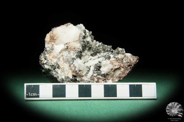 Hausmannit XX (16841) ein Mineral aus Südafrika | Mineralien | Weltweit