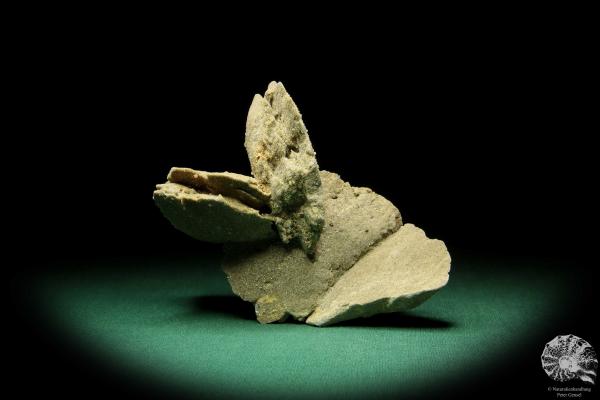 Gypsum XX (16842) a mineral from Namibia | Minerals | Global