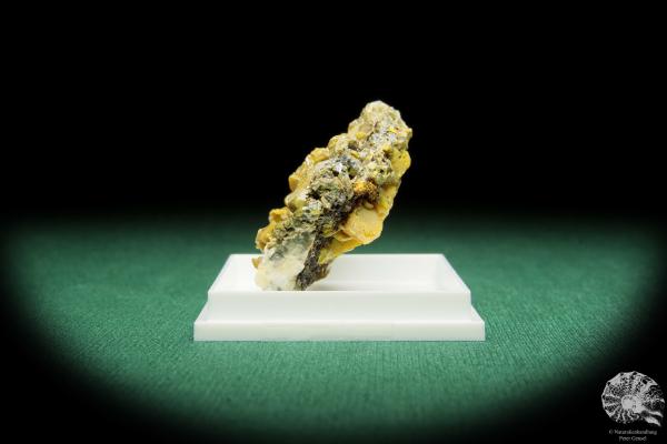 Wulfenit XX (16856) ein Mineral aus Slowenien | Mineralien | Weltweit