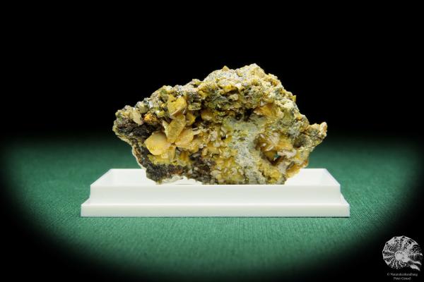 Wulfenit XX (16856) ein Mineral aus Slowenien | Mineralien | Weltweit