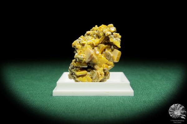 Wulfenit XX (16858) ein Mineral aus Slowenien | Mineralien | Weltweit