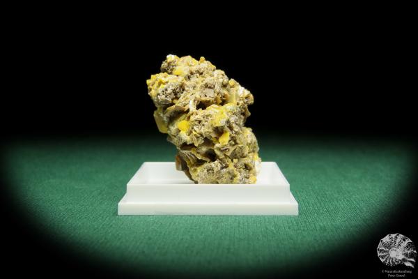 Wulfenit XX (16858) ein Mineral aus Slowenien | Mineralien | Weltweit